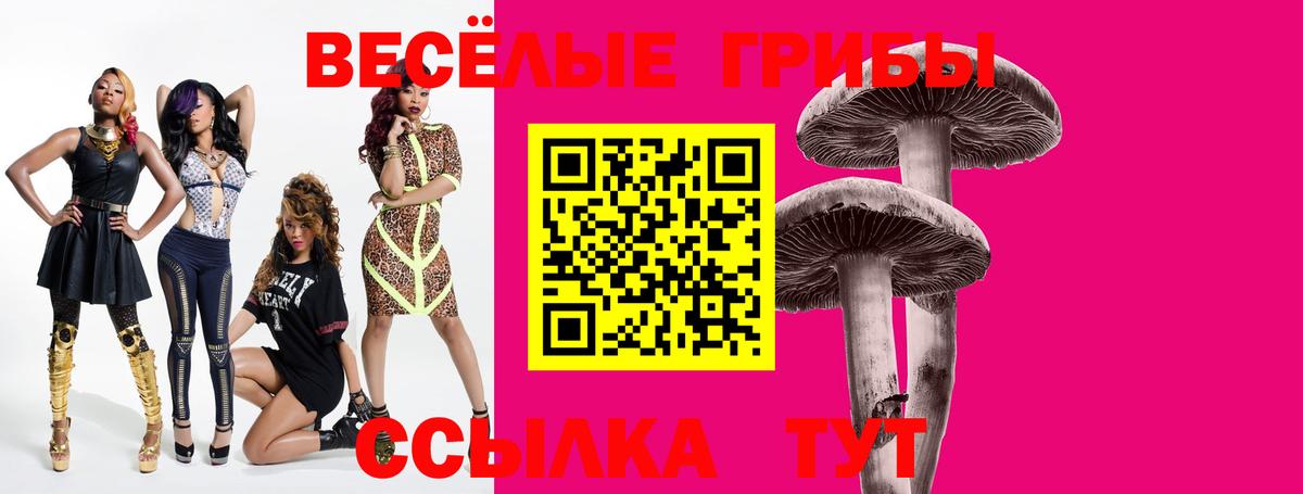 Галлюциногенные грибы Psilocybe  Вход с VPN  Ноябрьск 