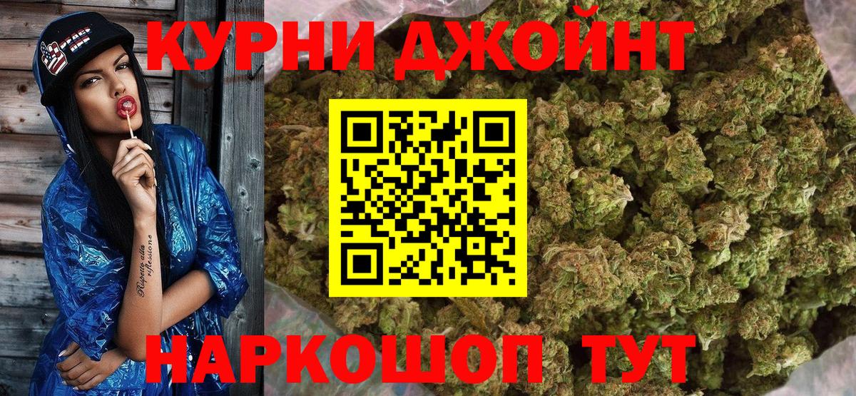 Шишки марихуана семена Ноябрьск